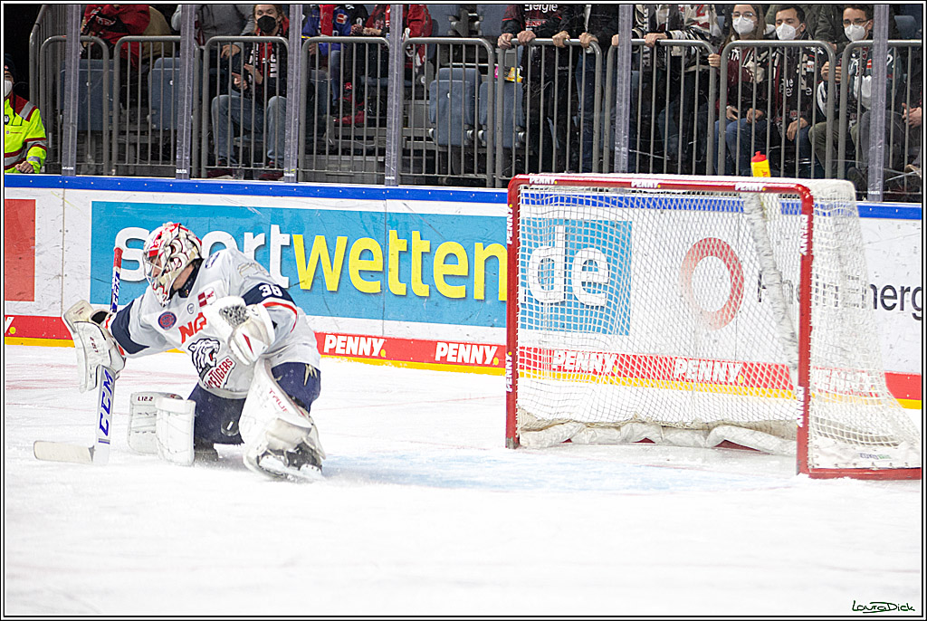 PENNY DEL; Koelner Haie- Nuernberg Ice Tigers; Koeln, 03.12.2021